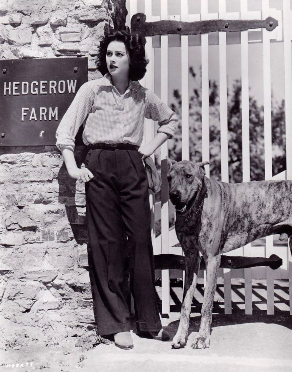 Hedy Lamarr y