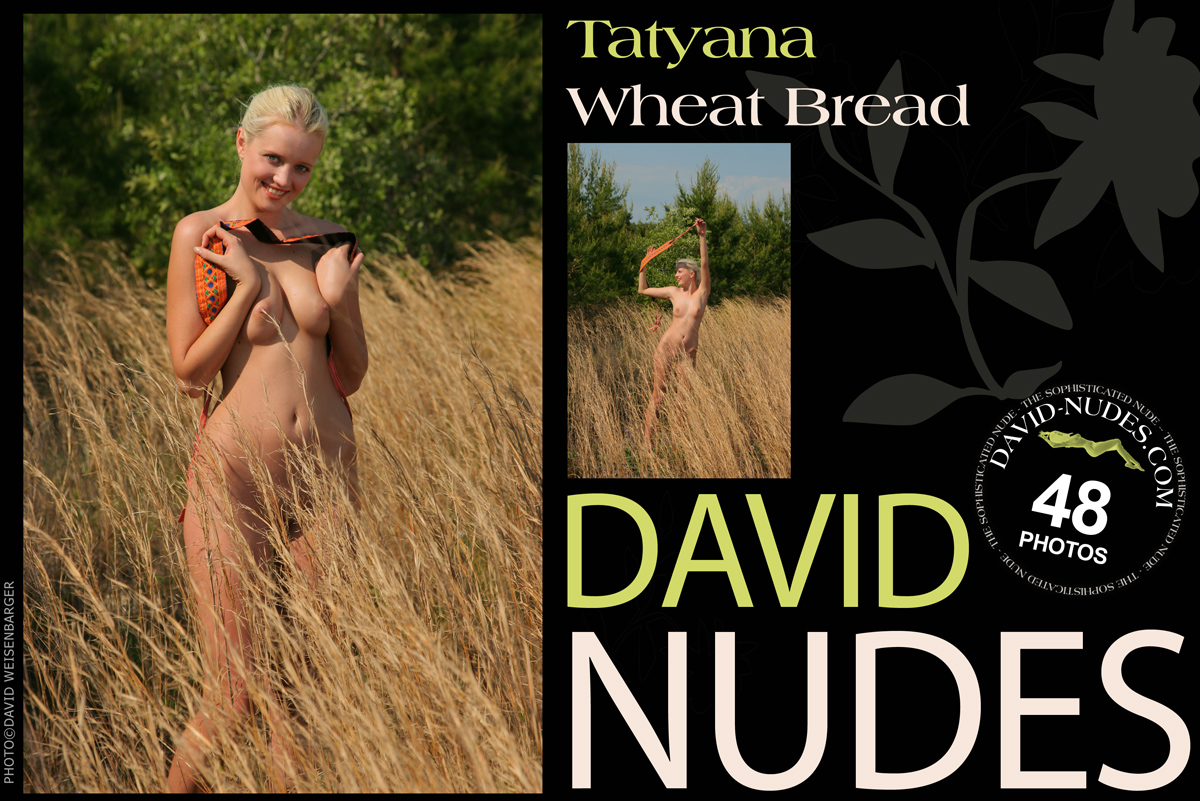 2008 11 22 Tatyana Wheat Bread x 48