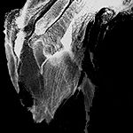 39129812_By_Lilith-Trash__34.jpg