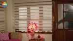 55622733_3751019.jpg