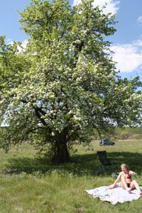 Un couple amateur [x382]-77106ro3aj.jpg